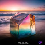 Artwork for "Still Following"