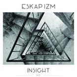 Artwork for "Insight"