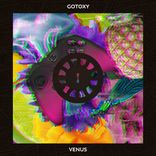 Artwork voor "VENUS"