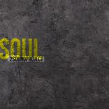Artwork voor "Soul"