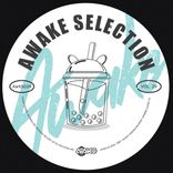 Artwork voor "AWK Selection, Vol. 29"