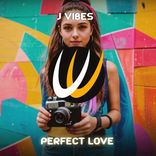 Portada para "Perfect Love"
