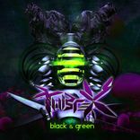 Artwork for "Black & Green"