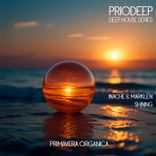 Artwork for "Shining"