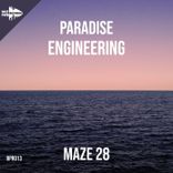 Artwork voor "Paradise Engineering"