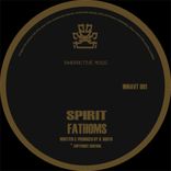 Artwork for "Fathoms / Suspicion"