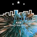 Artwork voor "Don't You Know"