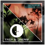 Artwork for "Shimmering Ends"