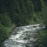 Portada para "Stormchaser"