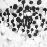 Freq and Sound (Original Mix)