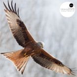 Artwork für "Another Planet FM"