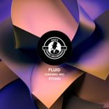 Artwork voor "Fluid"