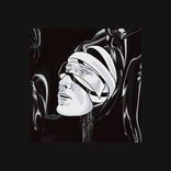 Artwork voor "The Void"