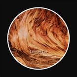 Artwork for "Worldwide Slaughter"