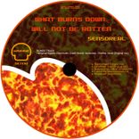 Artwork voor "What Burns Down, Will Not Be Rotten"