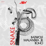 Artwork voor "Snake"