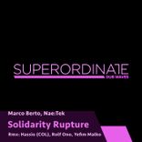 Artwork for "Solidarity Rupture"