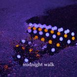 Portada para "Midnight Walk"