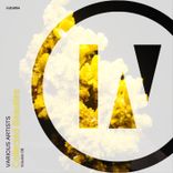 Artwork for "Collected Beauties, Vol. 8"