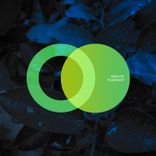 Artwork for "Planetary"