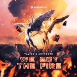Artwork for "We Got The Fire"