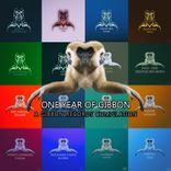 Artwork for "One Year of Gibbon Records"