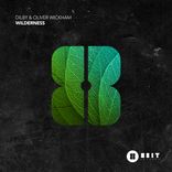 Artwork for "Wilderness"