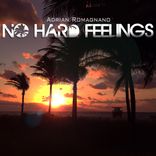 Artwork for "No Hard Feelings"