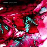 Artwork for "Fly You Fools"