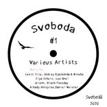 Artwork for "Various Artists #1"