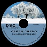 Portada para "Pandemic Experience"