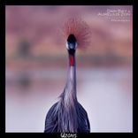 Artwork for "Wüstentanz (Mux Remix)"