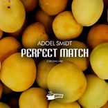 Artwork for "Perfect Match"