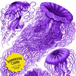 Artwork for "Sombrero Cosmos (Elec's 1971 Version)"