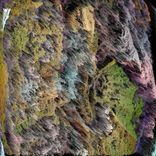 Artwork voor "Basic Understanding"