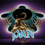 Artwork voor "Psychedelic Starfish"