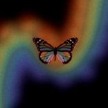 Artwork for "Acacia"