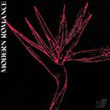 Portada para "Modern Romance"