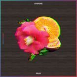 Portada para "Pray"