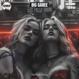 Portada para "Sex Pills Bass"