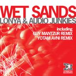 Artwork für "Wet Sands"