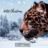 Portada para "Wild Christmas"