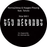 Artwork for "How Will I"