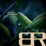 Artwork for "Mamba Negra"