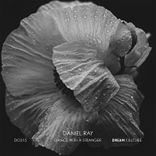 Artwork for "Dance With a Stranger"