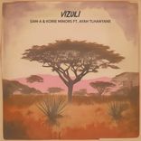 Artwork for "Vizuli"