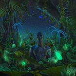 Artwork voor "Rainy Nights in the Tropics"