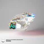 Portada para "Shining"