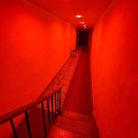 Artwork for "Shadow Walk"