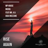 Artwork for "Rise Again"
